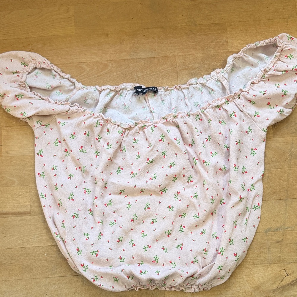 Brandy Melville Floral Romantic Crop Top